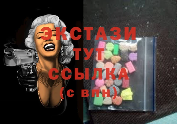 ECSTASY Вяземский